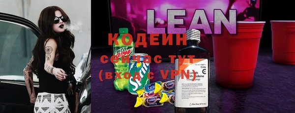 винт Нея