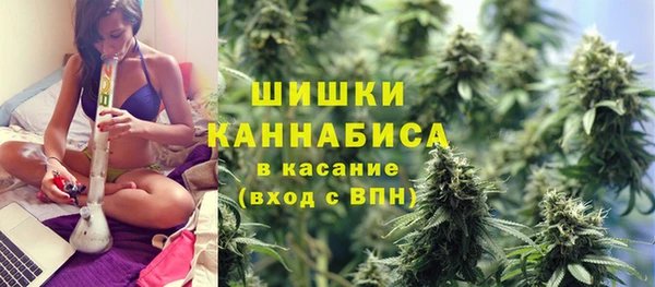 винт Нея