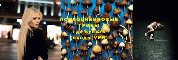 мескалин Надым
